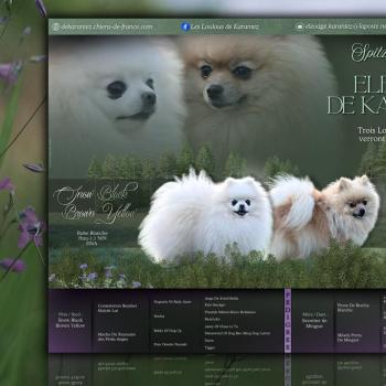 626279234_919931250688098_5749807564278613928_n